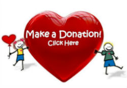 Make-a-Donation-Button